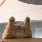 [댓글부탁해] 이시국에 6명이서 에버랜드가는게 정상임?