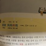 [NCT즌] 나 중국어 배우려고 <b>책</b>샀는데