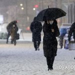 서울 지금 눈 엄청 <b>오네</b>