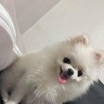 님두락 유튜브는 몇분보다가 <b>자동</b>으로 꺼지는거 없음?