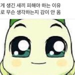 아니 애들