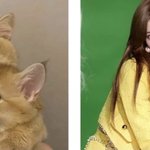 <b>숙제</b> 따윈 내일하는거야..~~~~~~야롱ㅇ