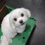 남친이 여자들 팔로우 조카 많이함
