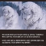 [댓글부탁해] <b>설날</b> 용돈 받아서 뭐 살지 추천좀