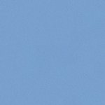 <b>배사</b>털이 같이행