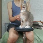 <b>윤도운</b>과 호수니