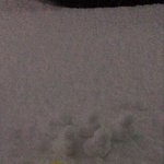 아직도 눈<b>오리</b> 없는 사람ㅋ?