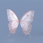 후드티 다들 몇일정도 <b>입음</b>