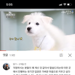 <b>이</b> <b>강아지</b> 좀 봐