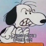 [댓글부탁해] 고등학교 졸업하고 느낀점(반<b>배정</b>)