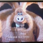 [댓글부탁해] 친구년 자꾸 지가 <b>토끼</b> 닮은 척 함ㅅㅂ