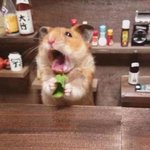 [댓글부탁해] <b>브베</b>나 스윙스 사진으로 카톡프사하는 남자 뭔 생각...