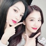 고양이냐 강아지냐 최대 <b>난제</b>