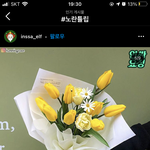 졸업식날 노란<b>튤립</b> 어때 추반