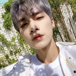 [NCT] 더쥔이 브이앱 킨이유