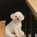[조언부탁해] 립잘알인 분 ㅜㅠㅜ 도와줘!!!!!