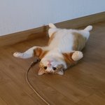 여신<b>강림</b> 결말 어케됨?