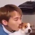 [BTOB] 이짤<b>출처</b>아는 멜로뒤ㅠ 강아지&amp;응광