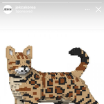 고양이 레고..?