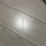 <b>도둑</b> 발자국