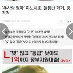 추사랑 엄마 <b>야노</b>시호, 들통난과거 충격적