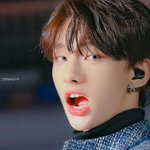 짤 <b>속</b>에서 나갈 수가 없는 <b>남</b>돌