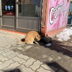 [드루와] 내가 19년부터 <b>배민</b>을 67번 이용 했는데