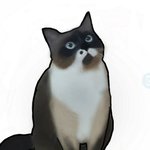 [댓글부탁해] 와 당근<b>마켓</b>에서 그림 그려줬어ㅠㅠ