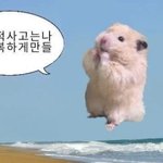 [드루와] 힙스터가 힙합<b>몬스터</b>야?