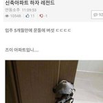 아<b>준나</b> 나 신축ㅇㅏ파트 사는데