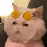 겨드랑이 <b>냄새</b>가 이런 건가