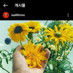 인스타 다크<b>모드</b> 써봐
