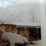 윤서인이 언급한 독립유공자 후손의 사진(창고) <b>친손녀</b>입니다.