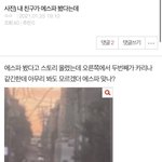 에스파 <b>멤</b>추가 없음 <b>그</b>짤도 에스파 맞았네
