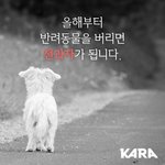 [드루와] 올해부터 <b>반려동물</b> 버리면 전과자가 된대
