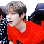 엑소 백현이 게임<b>BJ</b>이라면?