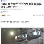 [드루와] 인천시 들개 <b>포획</b> 논란