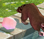 [<b>레이</b>] 사담)