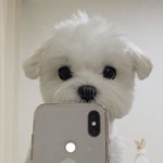 [골든차일드] <b>봉재현</b> 거울 셀카 완전이건데