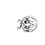 [진격의거인] 나 약간 이상한듯