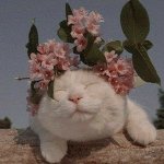 여성, <b>남성</b> <b>인권</b> 뭐가 더 높은 것 같아?