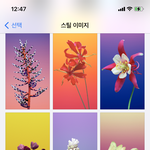 [댓부] <b>ios</b> 14.4업데이트 한 사람들아어ㅏ바
