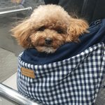 제발 추반해줘 급해ㅠㅠ