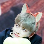 <b>홍</b>중이 이쁜거나 보고가