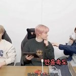 [NCT] 천생 <b>아이</b><b>도루</b> 황관형