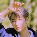[NCT즌] 프로홈 <b>엽서</b>