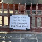 [드루와] 보신각 근황 ㄹㅇ ㅋㅋㅋㅋ
