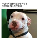 [댓글부탁해] 오랜만에 판녀들 폰 조사 간다