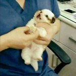 [댓글부탁해] 얘드라 1타 <b>현강</b>은