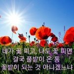 [댓글부탁해] 고딩 영어 어려워 ..?